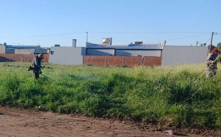 Acondicionan espacios públicos y terrenos municipales