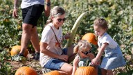 At'l Do Farms is back for its 25th year near Lubbock, check it out