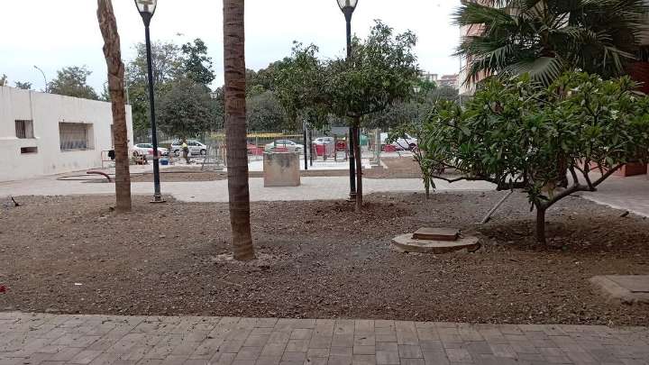 El jardín de la hermana Sabina abandona el abandono