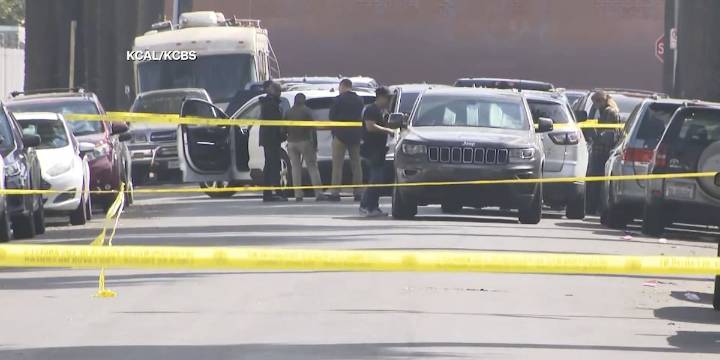US Marshal shot during immigration enforcement operation in LA, reports say