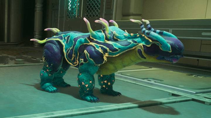 Where to find pets in The Outer Worlds 2