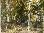 Victim of fatal motorcycle crash near Boulder, Utah, identified as Draper man