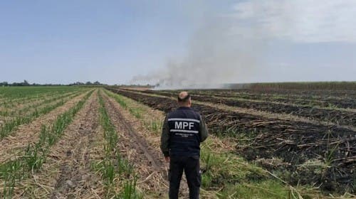 Detectan quema de caña en Bella Vista y apuntan a un sospechoso