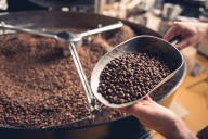 Colombia alcanza su mayor producción de café en 33 años