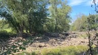 Flooding concerns loom as Rolling Fork River in Nelson County blocked by debris