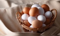 Top 5 egg-producing states driving India’s poultry growth