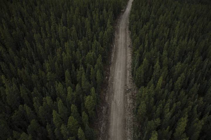 Alberta government pays out $95 million to end another coal policy lawsuit
