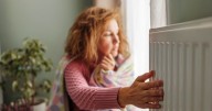 Four jobs in November that make your home warmer all summer