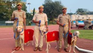 Odisha Police Unleash New Crime