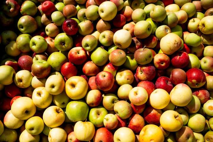 Michigan ripens to No. 2 apple producer in U.S. Find U-Pick farms still open across the state.