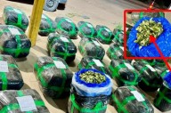 Nuevo golpe al narcotráfico en Campo Gallo: la Policía secuestró más de 530kg de hojas de coca