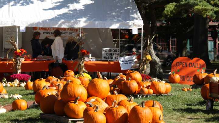 How Trinity Church turns thousands of pumpkins into community support