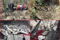Indagan en Tamaulipas nuevo 'sitio de exterminio'