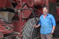 Shire set to transition away from cane