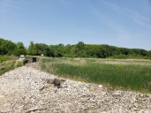 Cleveland Heights signs onto joint grant application for Horseshoe Park trail