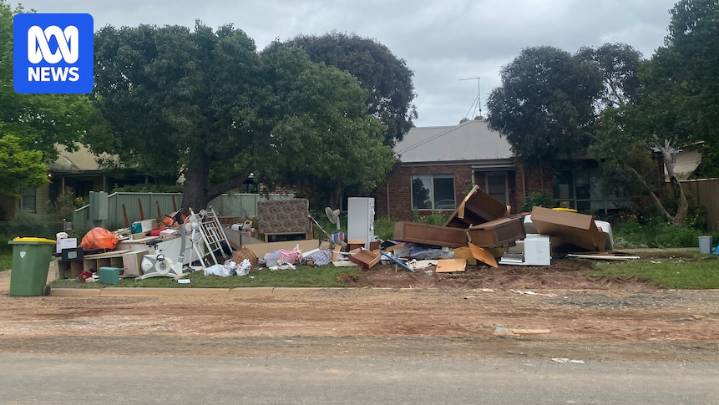 Victorian Auditor-General lays out government's 'slow' and 'burdensome' response to 2022 floods