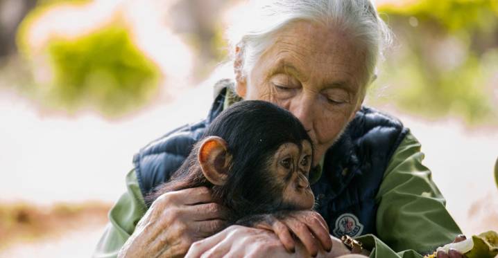 Jane Goodall’s most radical message was not about saving the planet