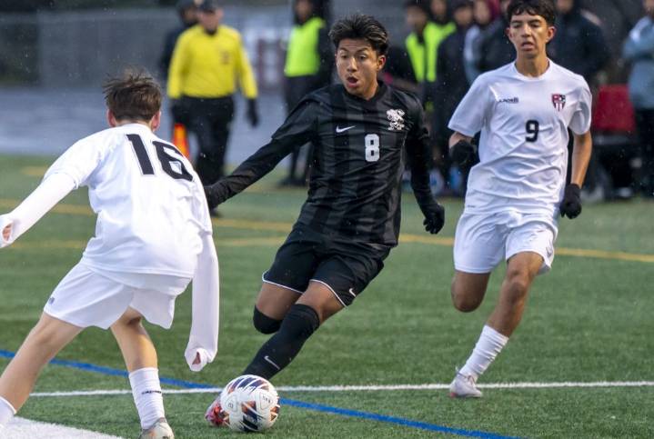 Soccer: Brandon Peral, Zion-Benton win regional semifinal