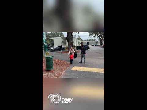 Missing 23-month-old boy, dog found safe after Hillsborough County deputies' search