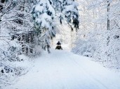 Snowmobile trail closures could impact Sault winter tourism