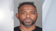 Man pleads guilty to fatal 2024 Albany dog mauling