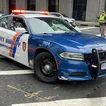 New Rochelle man sentenced to jail for killing, dismembering pet bulldog