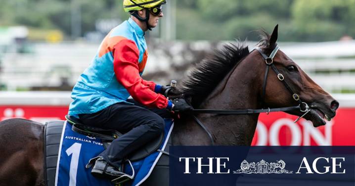 Beadman defends Ka Ying Rising as doubts grow about $20m Everest favourite
