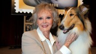 June Lockhart: Lassie and Lost In Space actress dies aged 100