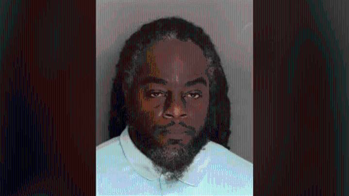 Deputies arrest SC man after 50+ dogs found living in 'deplorable conditions'