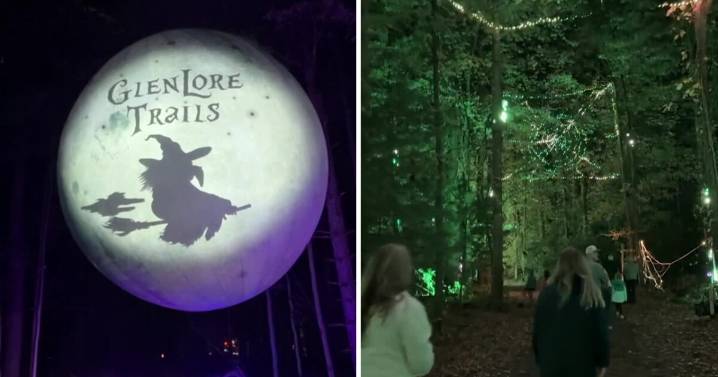 Glenlore Trails brings magical after-dark forest experience to Commerce Township
