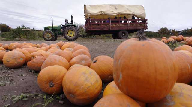 Coolest temperatures of the season arrive before Halloween