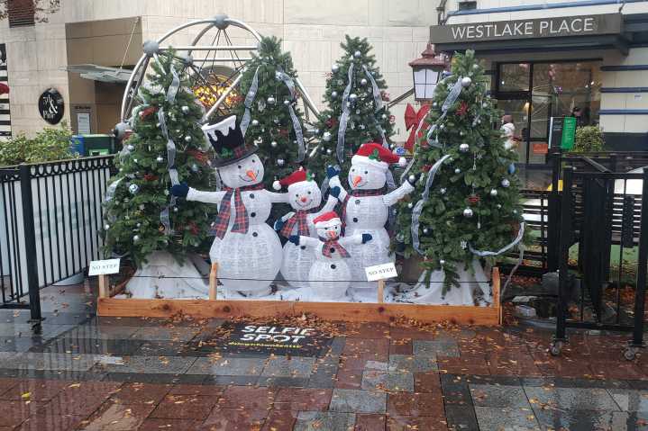 Festival of trees tickets on sale now