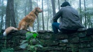 Indie Film Box Office: IFC Thriller 'Good Boy' Sticks In Top Ten