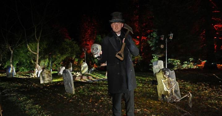 Spooky Halloween light trail launches at Cambridgeshire National Trust property