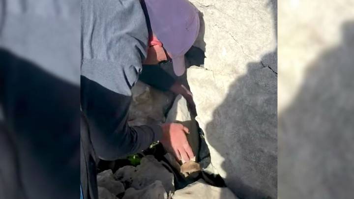 Texas Family’s Curiosity Leads Them To A Crying Rock, And What They Find Inside Is Unbelievable