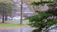 MIllions Under Severe Weather Alerts As East Coast Braces For Nor'easter