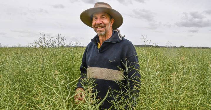 Beckom's farming season revived by extremely timely rainfall