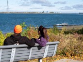 Montreal weather: Daytime highs in the teens, turkey temps remain at 350 F