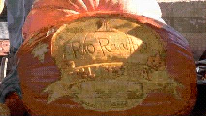 Rio Rancho celebrates fall at Campus Park