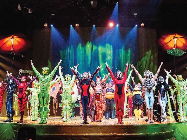 Esteban Martínez, el mexicano que hace magia en OVO del Cirque du Soleil