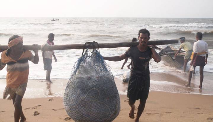 Cyclone Montha Alert: Odisha Govt Issues Warning For Paradip, Fishermen Advised To Stay Ashore
