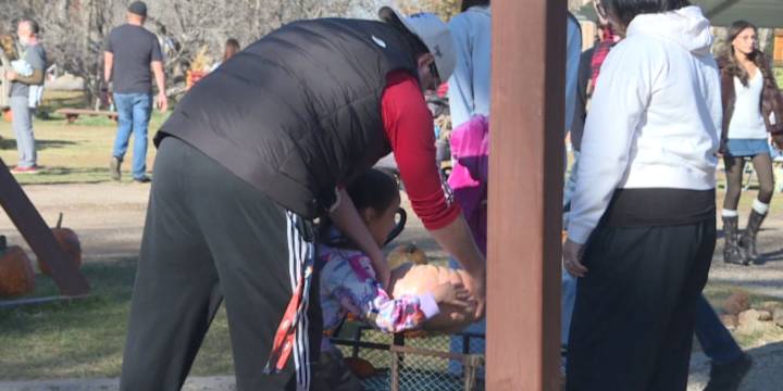 Papa’s Pumpkin Patch sees slower season than usual