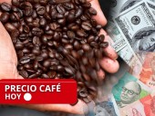 ¡Sigue cayendo! Este es el precio del café, según la FNC, para este 29 de octubre