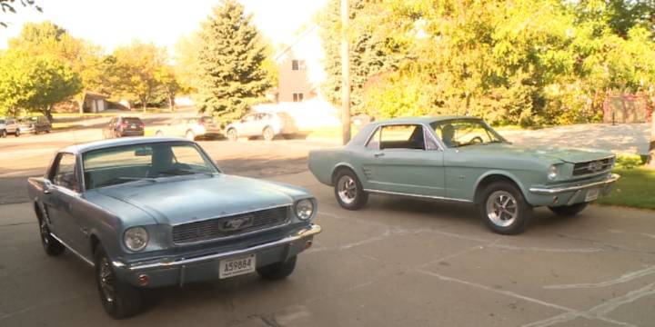Father finds mustangs belonging to his late wife, gifts them to daughters