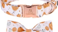 Costume-Averse Pets? These Halloween Collars Bring the Vibes Without the Drama — & Prices Start at Just $7