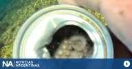 Buscan visibilizar el impacto de la contaminación acuática con fotos enviadas por la gente en tiempo real
