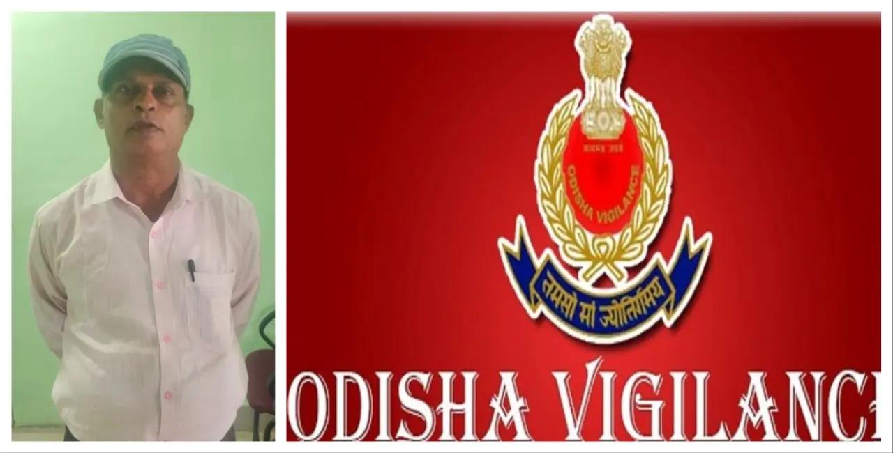 Odisha Vigilance Nabs OAS Officer For Taking Bribe From Belaguntha NAC Staffer