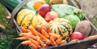 Best Fall Fruits and Vegetables to Cook With This Season