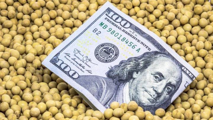 La soja sube en Chicago tras la confirmación de compras de China: ¿cómo afecta a Argentina?