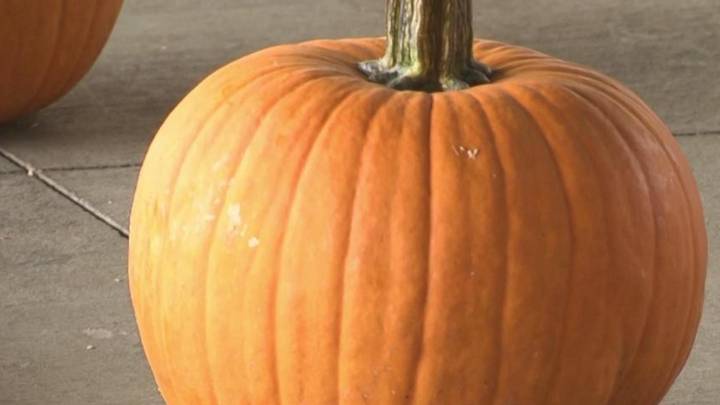 Trick-or-treating guide for south